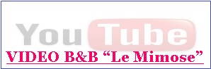 Casella di testo: VIDEO B&B “Le Mimose”